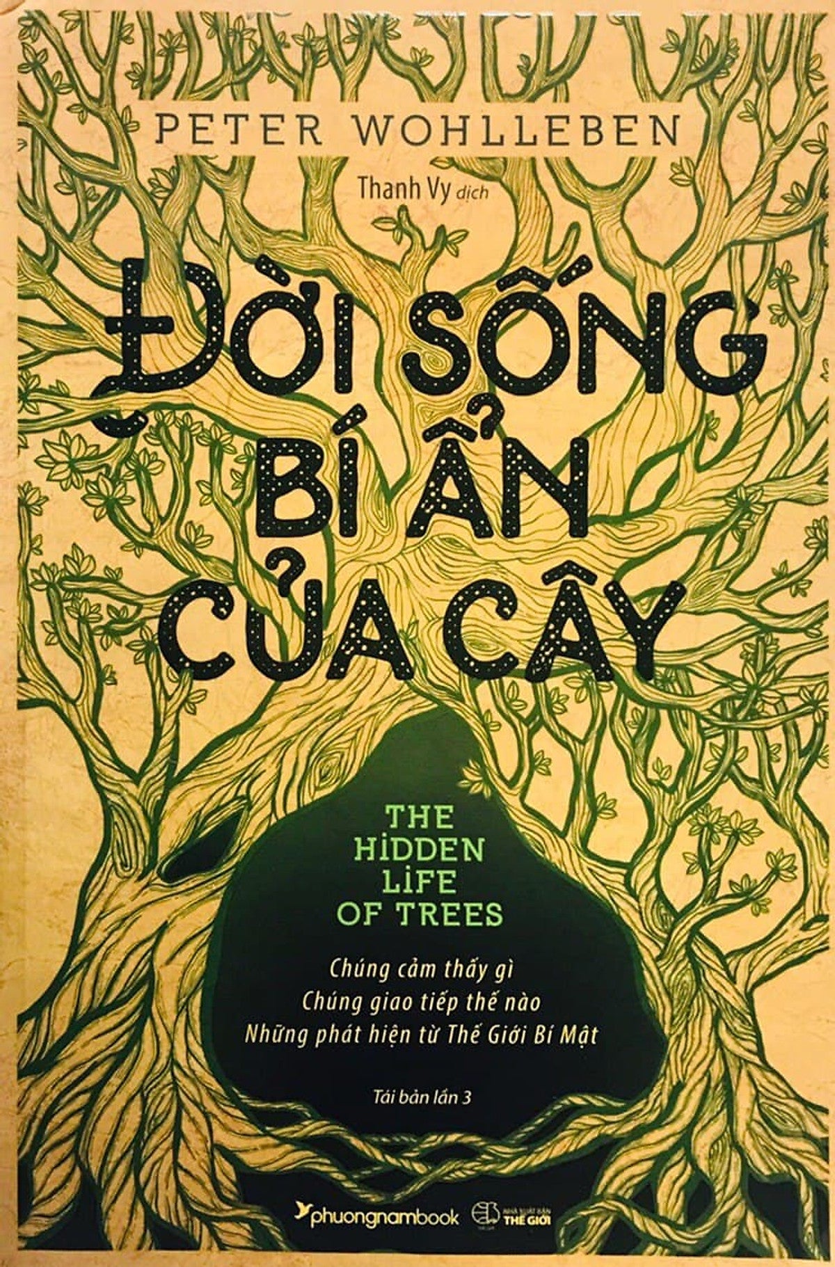 Đời Sống Bí Ẩn Của Cây